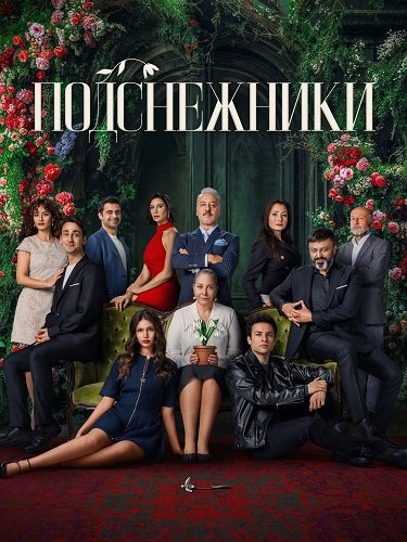 Постер Подснежники (1 сезон) Подснежники (1 сезон)