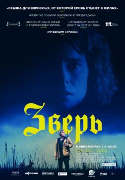   (2017)