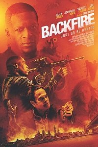    (2017)