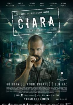   (2017)