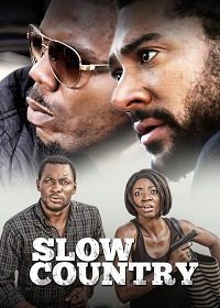    (2017)