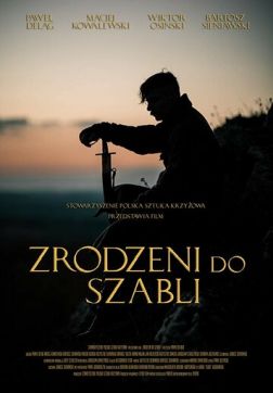     (2019)