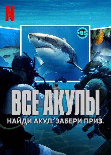 Постер Все акулы (1 сезон) Все акулы (1 сезон)